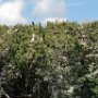 Boat tour to surrounding keys